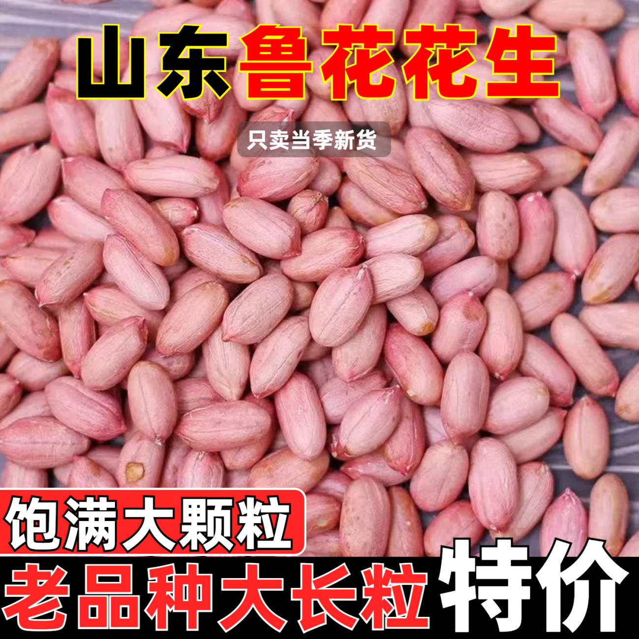 山东鲁花花生2025新货长粒花生米颗粒大粒白沙新鲜特大精选花生仁