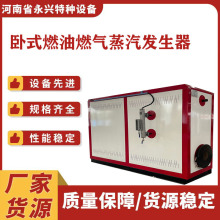 正品 控制系統及元件 燃油燃氣蒸汽發生器  鍋爐配件