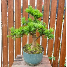 �_�h���Ϙ������辰���͘�ӭ�����҃����ԾGֲȸ���_�h����������