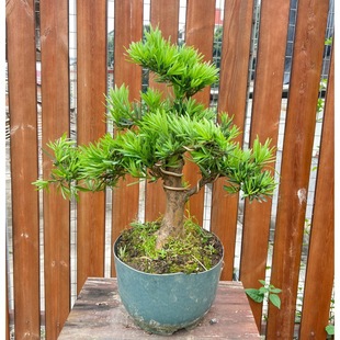 �_�h���Ϙ������辰���͘�ӭ�����҃����ԾGֲȸ���_�h����������