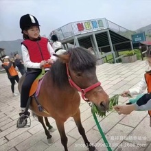 ���R���R�O���m���R�±����R����С�R���^�^�p�R�T���RС���R����