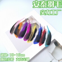 天然鸭毛双头羽毛diy头戴工艺饰品服饰狂欢节装饰羽厂家批发蓬松