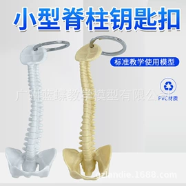 教学演示用品;学校课桌椅;医药教学器材