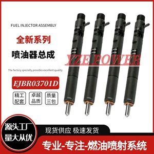 Ejbr03701D dizel injektoru 3300-4X800 Waltese Trica 2.9t üçün uyğundur