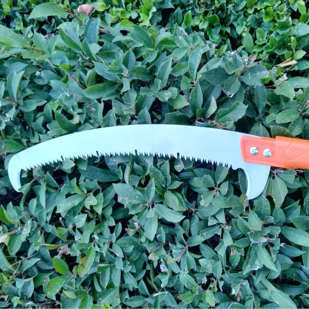 单钩锯双钩锯户外SK5高碳钢双沟高空锯果树修剪手锯批发高空修剪