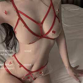 烟熏玫瑰*网纱透视玫瑰刺绣内衣无钢圈性感纯欲女文胸套装