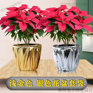 �\��ɫ�����״���۽��yɫ�껨�}�Q���Gֲ�����_�I���ղ���