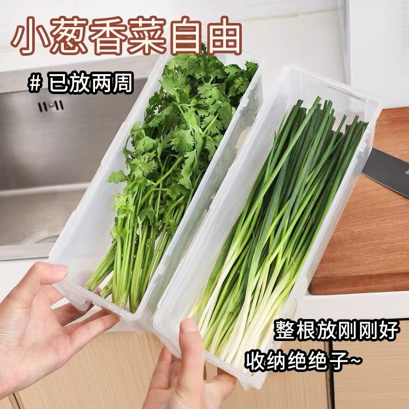 保鲜盒食品级大小葱香菜芫荽整根姜蒜面条鸡蛋收纳整理盒冰箱专用