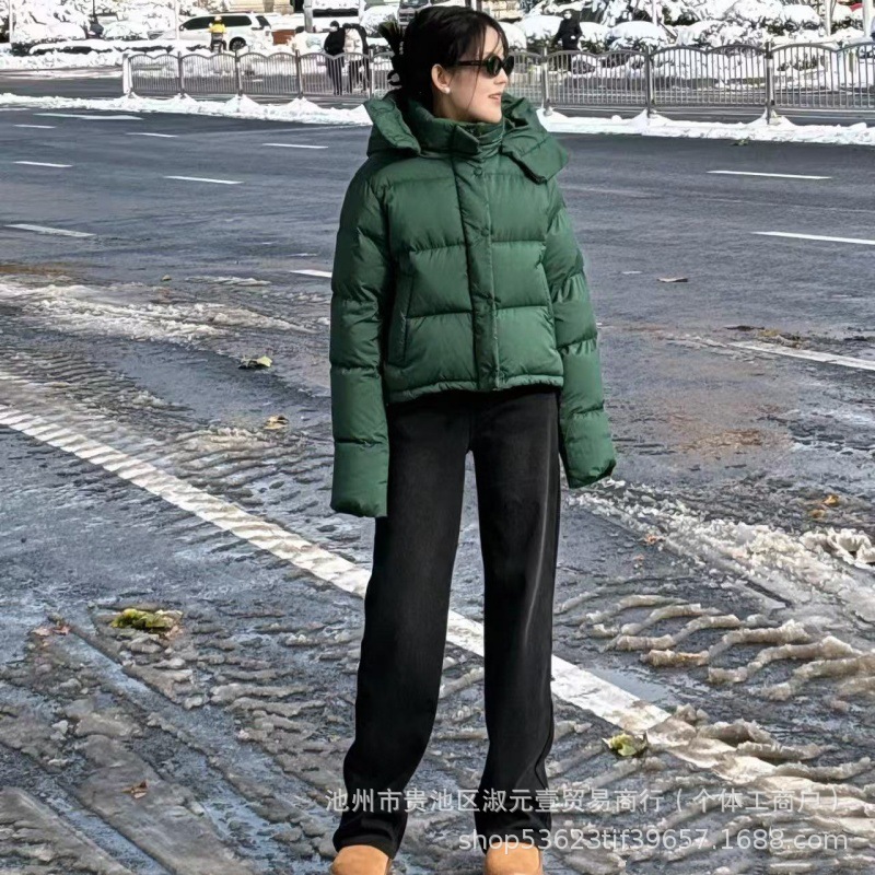 네 개의 그리드 늪 녹색