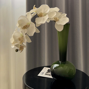 �й��L�L�i�ϙ�G������ƿ �͹Ÿк����mˇ�g�[D&