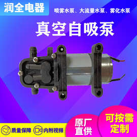 厂家批发DC12V/24V真空自吸泵喷雾水泵大流量水泵2升3升自吸泵雾