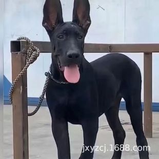 ���l���N����Ȯ��Ȯ���w����С�����ͷ���Ȯ��Ȯ�o�lȮ����Ȯ�ǹ�