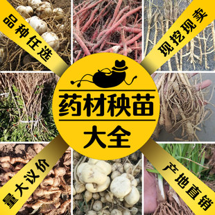 �в�ș���ȫ�ٲ݈@�N�����T������y����轘����S�������~�ٺ�