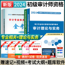 2024年审计师考试教材试卷初级审计理论与实务+审计相关知识