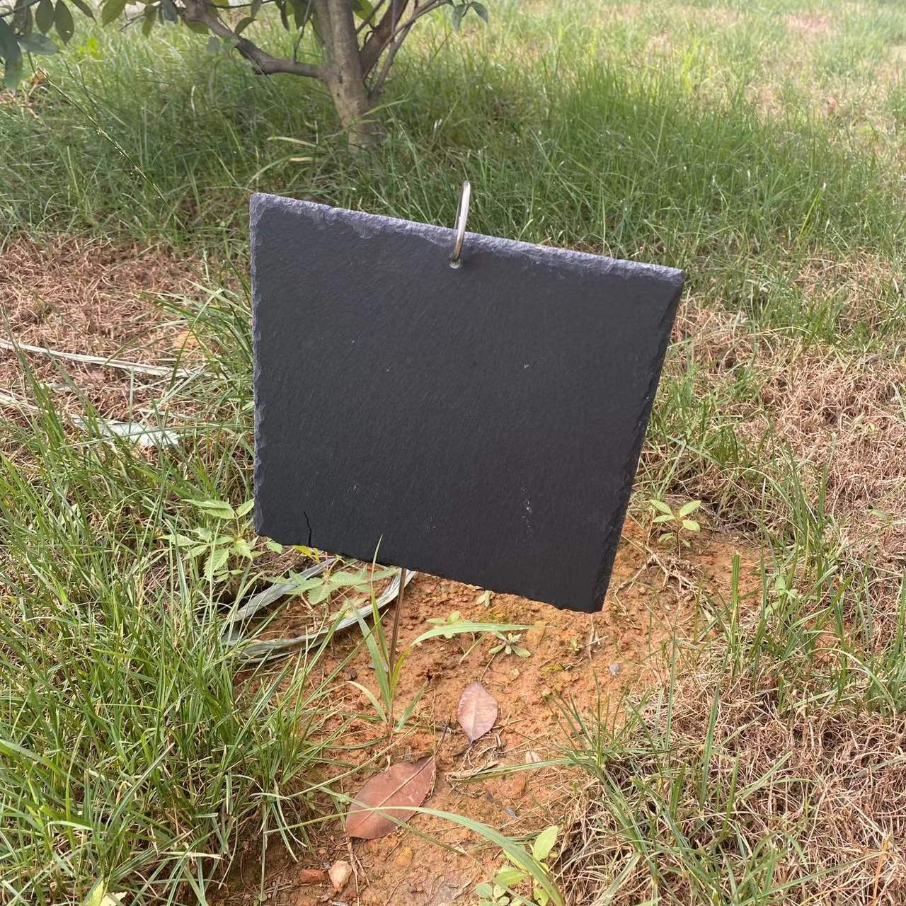 Fabricantes mayoristas etiquetas de plantas de pizarra etiquetas de flores etiquetas de árboles frutales etiquetas de acero inoxidable jardín