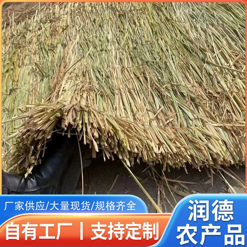 Стальная труба Транспортировка травянистых корм и фруктов Защита травяных штор