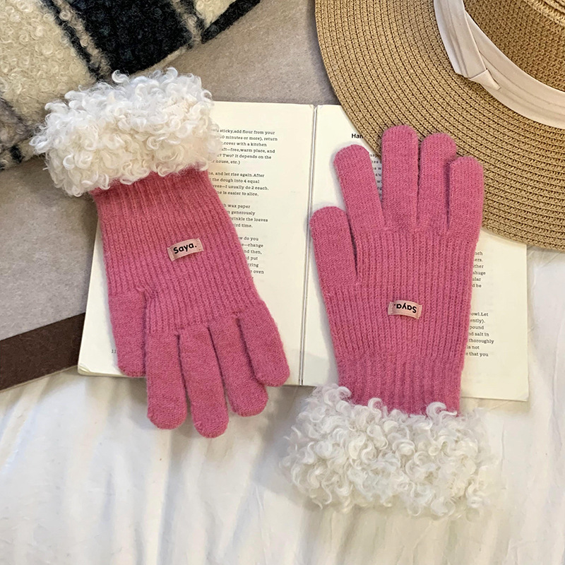 Nuevos guantes de borde de peluche coreanos para mujeres otoño invierno versátil grueso guantes de dedo de pantalla táctil de lana cálida