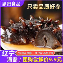 新鲜即食海参刺参野生长岛辽参500g海参干货大连海参单个装礼盒