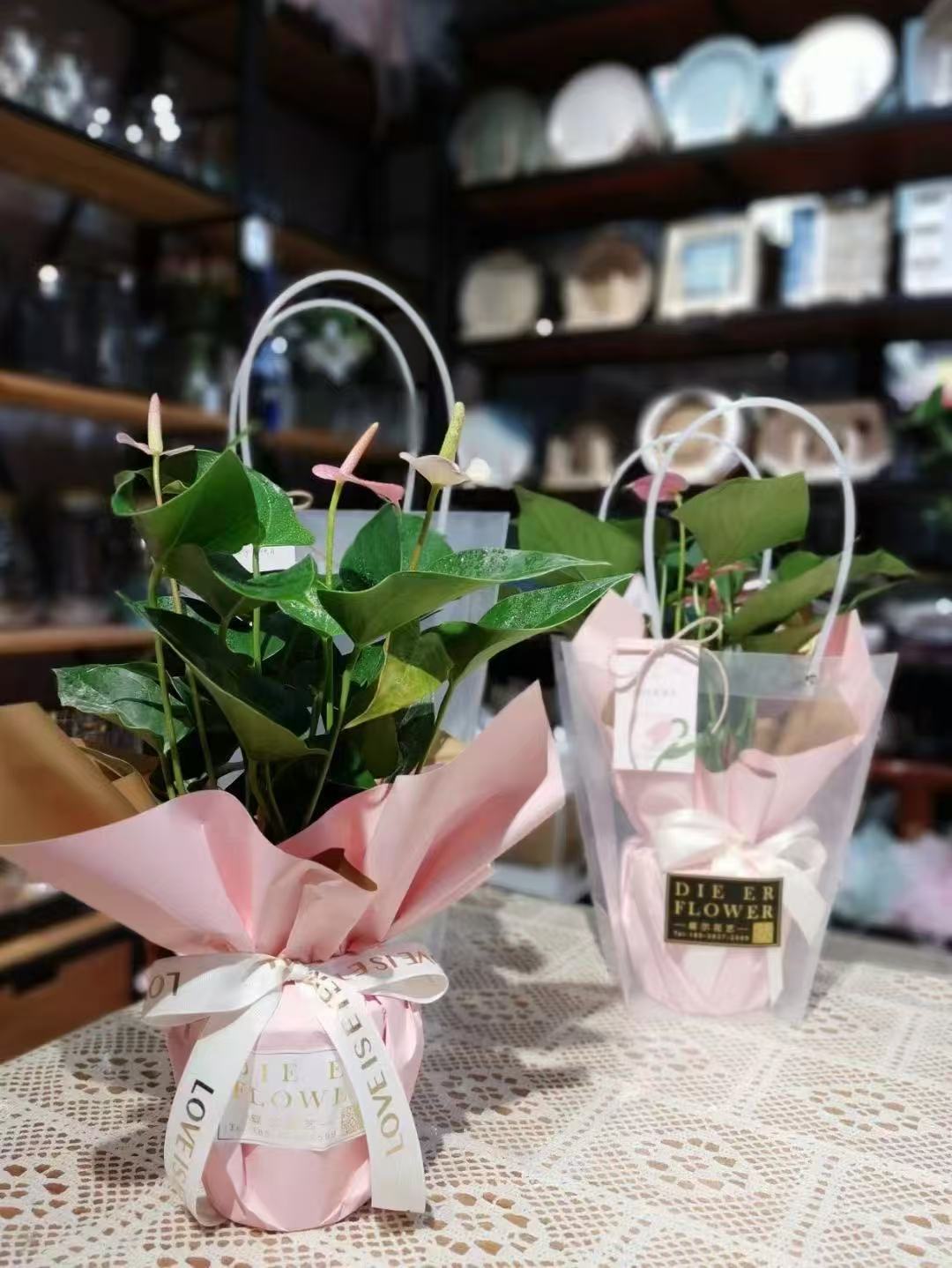 c8c98629f8033438ecdc1f8503da46