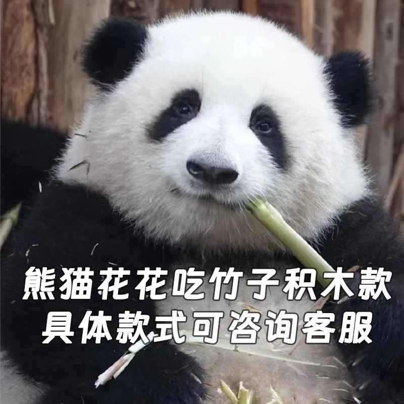 6a778d6f9302929f0a0806765786c4