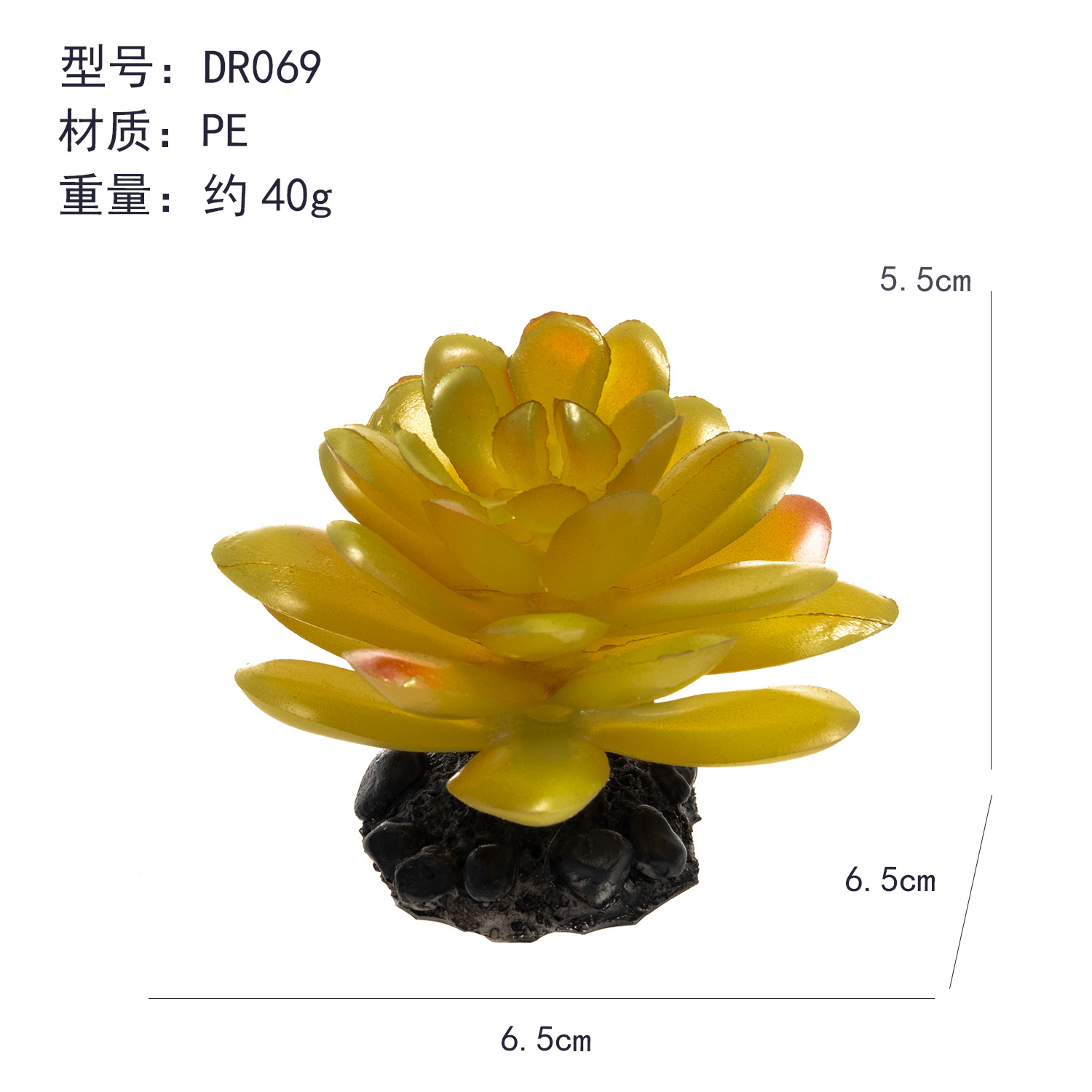 Simulación transfronteriza aire piña suculentas plantas trepadoras caja de mascotas paisajismo planta verde pecera fábrica de decoración paisajismo