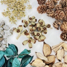 �ɹ���������ɼ���M�ϲ��ϰ��ִ��朶�o����޹�ֹ�����DIY