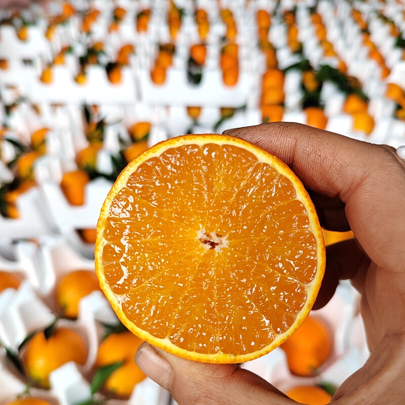 [Sf Express] Sichuan Meishan Ehime No. 38 Jelly Orange, a Core Production Area for Jelly Orange, Is Freshly Picked and Shipped Immediately