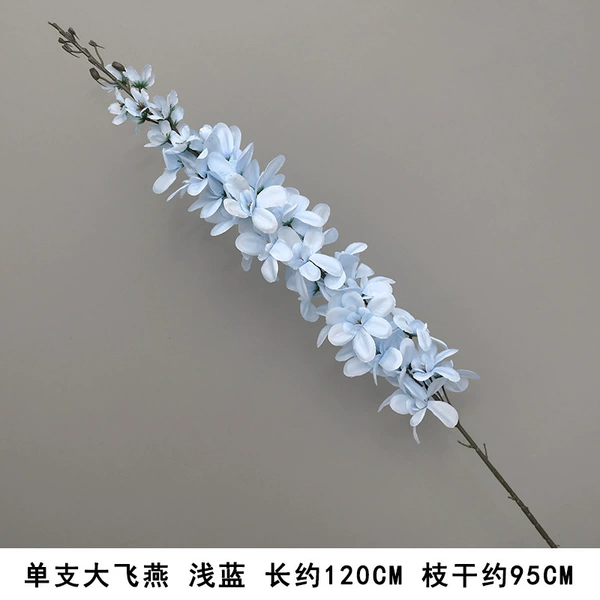 Single Flying Yanyan Light Blue