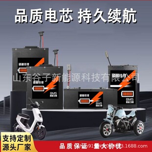 ȫ����60V48v72V늄���݆܇��݆܇��ȫ�������F�ͨ��AƷ�늳�