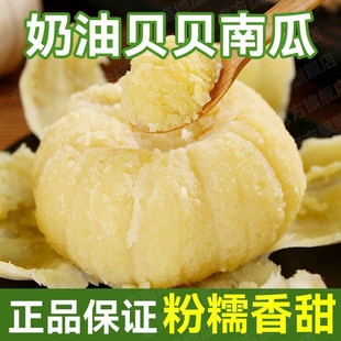 ���ڏV����ؐؐС�Ϲ����r��������ؐؐ�ϬFժ�F�l�����oʳ���Ϲ�