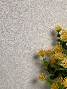 �f�����һ�ǝ{��ë�����ḡ����⠝���T�|�м��b���b����ˇ�g��