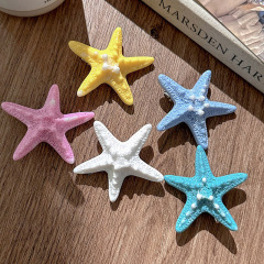 多巴胺彩色海星发夹女生夏日氛围感侧边刘海发卡甜美可爱拍照头饰
