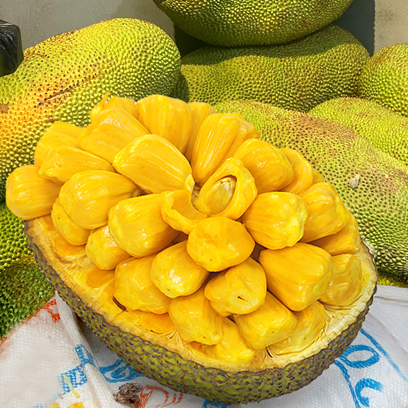 Hainan Sanya Fresh Jackfruit Seasonal Whole 10-40 Jin Box Free Shipping Red Flesh