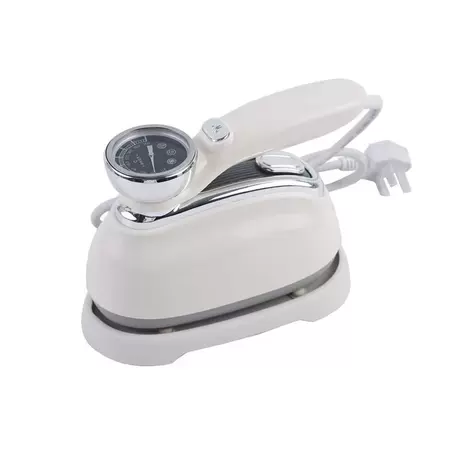 8807 garment steamer