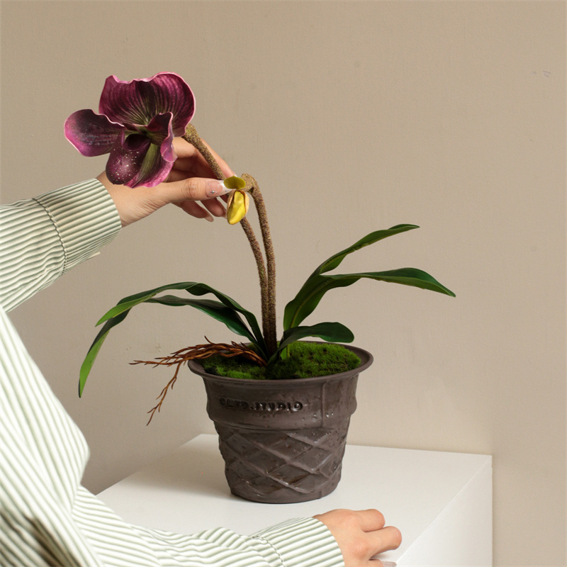甘筒植木鉢1点創造性高颜値盆栽花瓶陶磁器高級感デスクトップ装飾品プレゼント|undefined