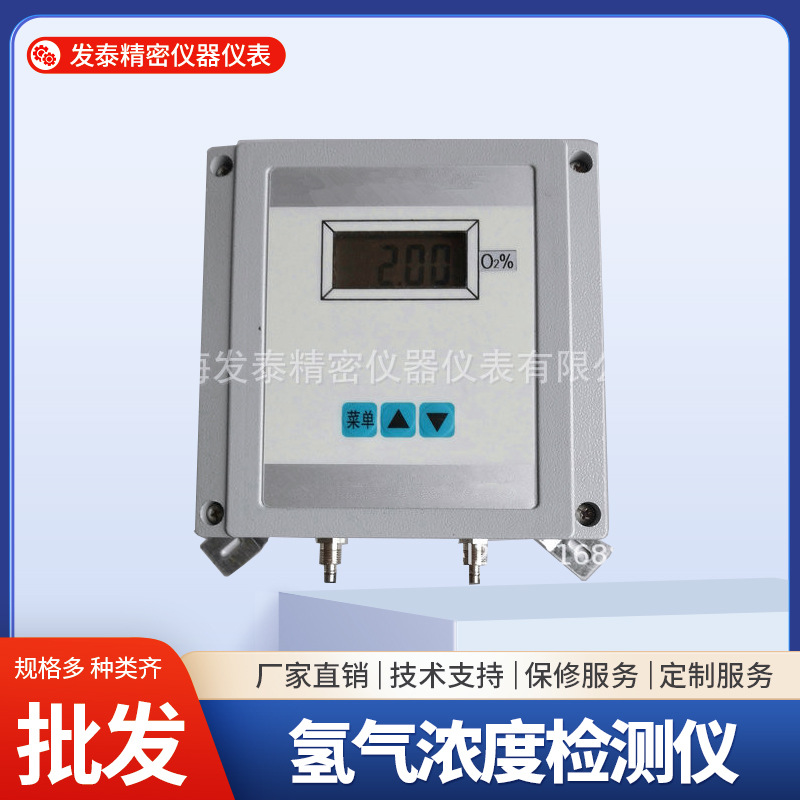 FT-102E-O2型氧量分析仪 氮气氩气含氧量测试仪自动快速在线检测