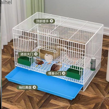 �B�J���u�\����B���û\�����҃ȴ�̖�r�u�r��С��С�u����\����