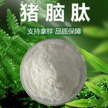 猪脑肽 猪脑小分子肽 生物酶解 水溶猪脑肽 食品级原料现货