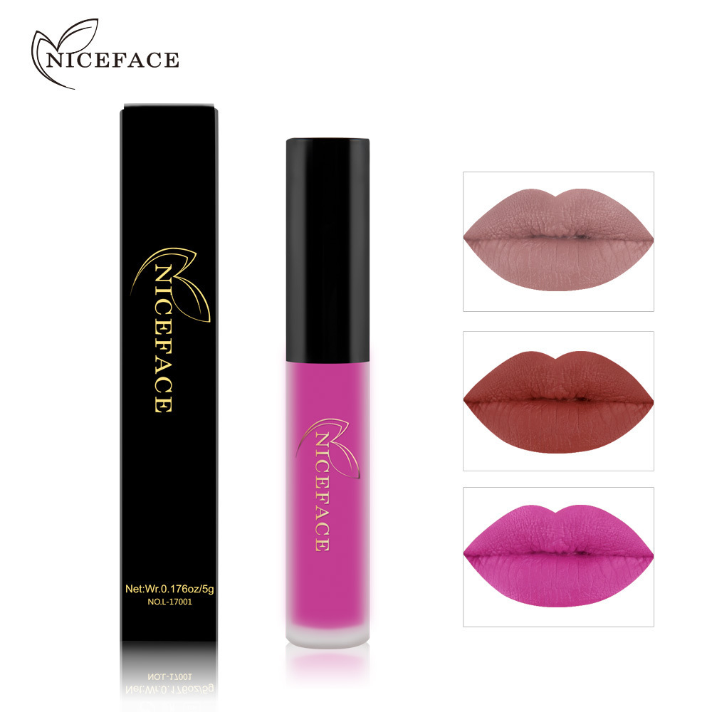 NICEFACE Matte Gloss Lippenstift, farbecht, matt, nicht feuchtigkeitsspendend, Orange_voghion.com