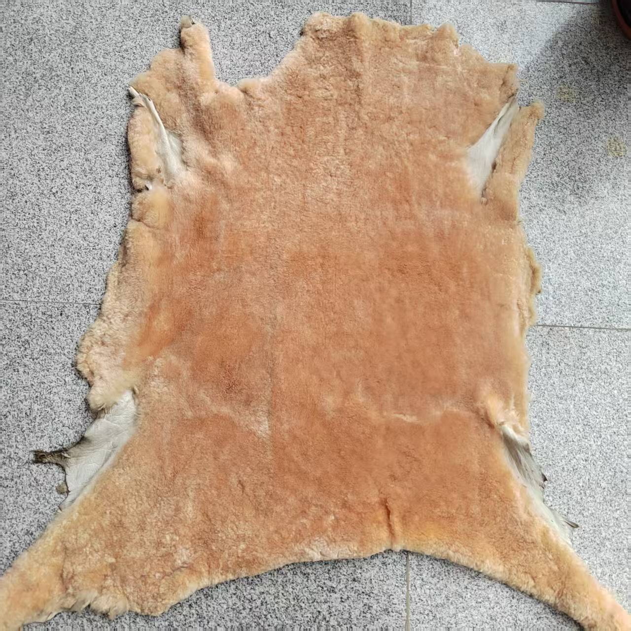 微信图片_20250630103023