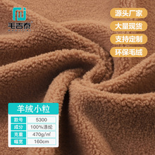 5300可可小粒仿羊绒颗粒羊毛泰迪绒经编针织面料复合皮毛一体