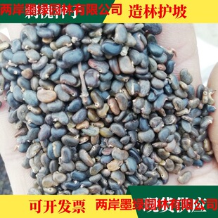 �̻��N�� ����N�� �󻱘��� �̃��� �׻��̻��㻨���o�»�ɽ�Nֲ