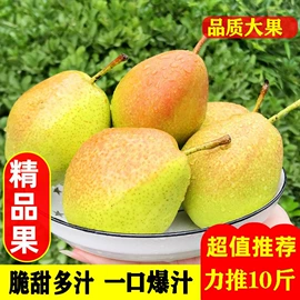 其他药食同源;花果茶;普洱茶