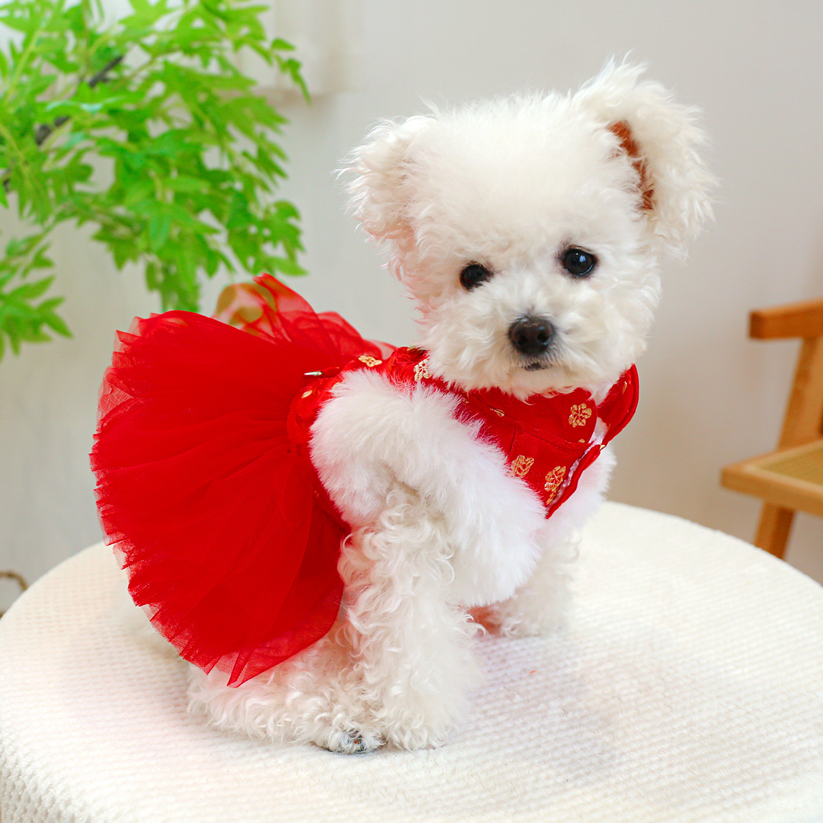Petcircle PET anillo perro gato ropa fábrica al por mayor shengshi Tang traje hilado falda chaleco pareja ropa