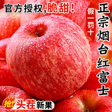 正宗山东烟台红富士苹果新鲜水果圣诞平安果冰糖心栖霞丑平果包邮