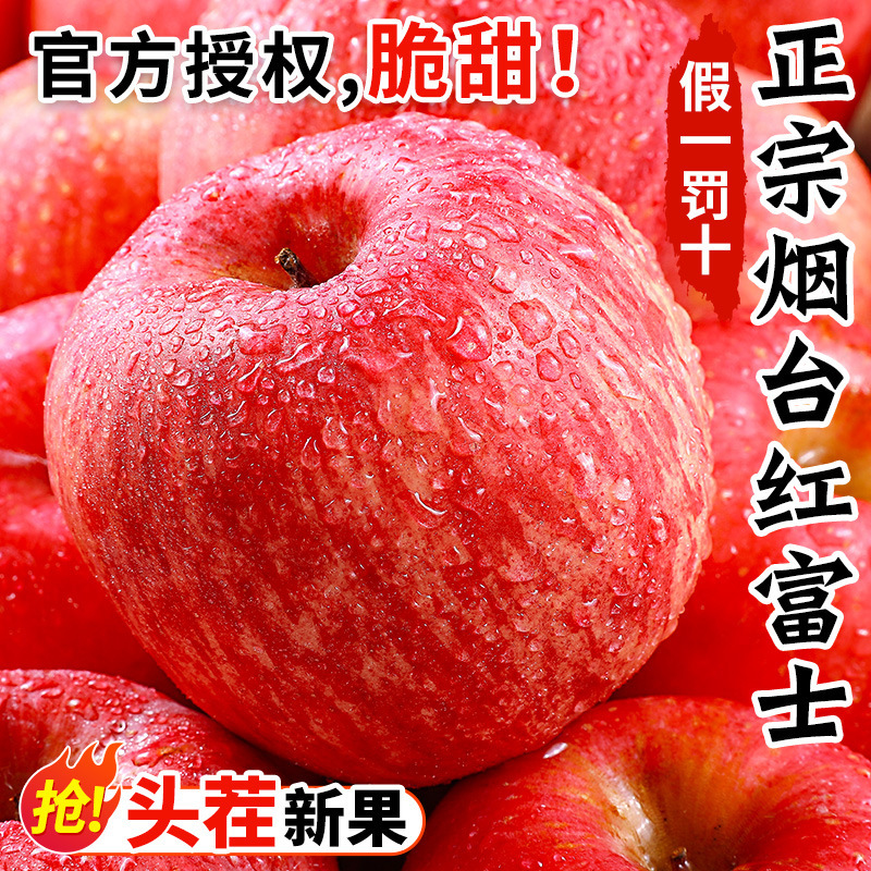 正宗山东烟台红富士苹果新鲜水果圣诞平安果冰糖心栖霞丑平果包邮