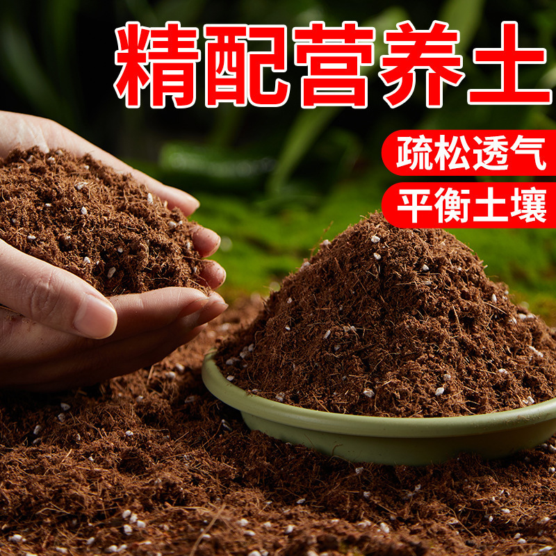 花の育成用の栄養土、野菜や花の育成用の万能花土、家庭用多肉植物の植え付け用の有機泥炭土|undefined