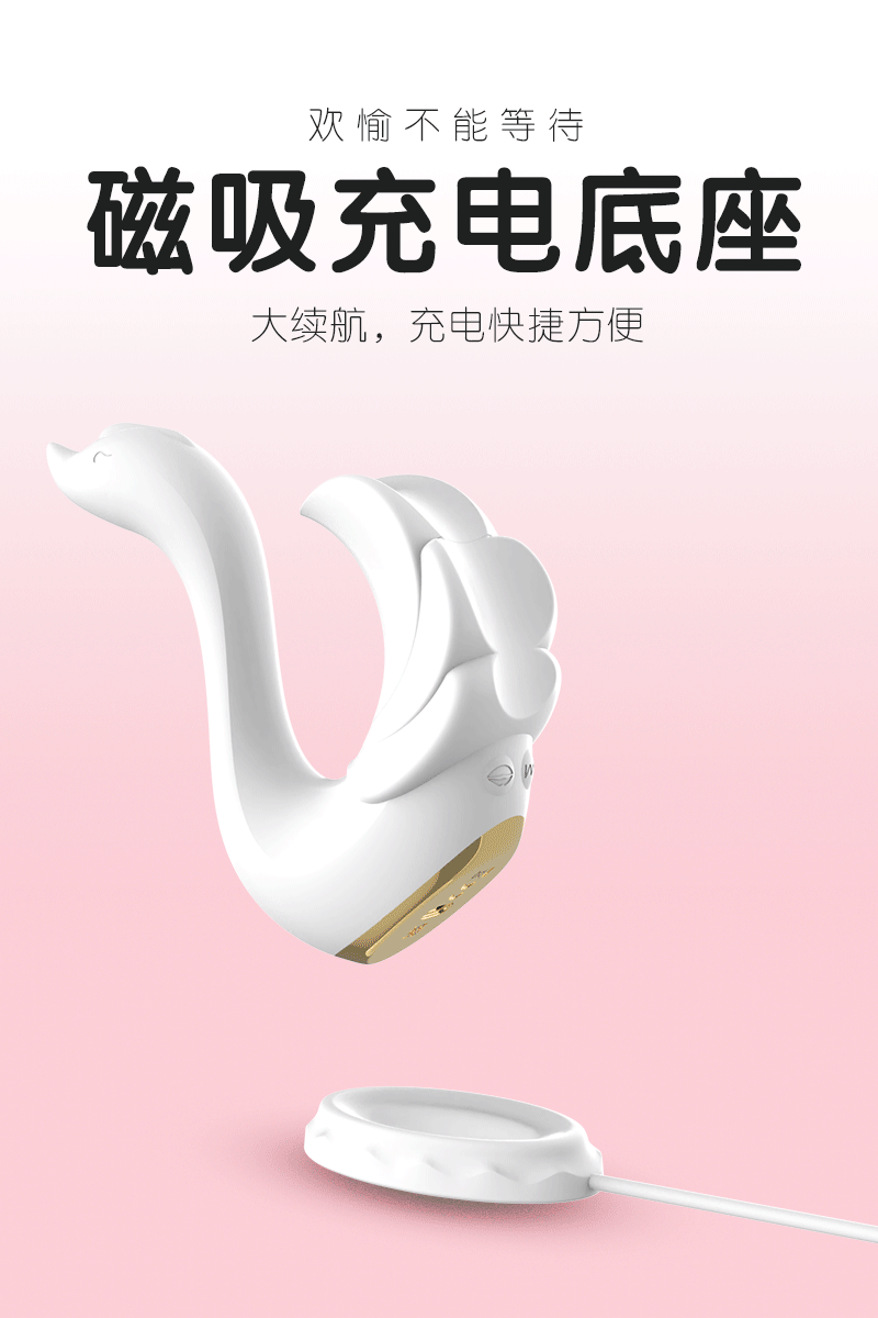 天鹅-中文详情图-0014