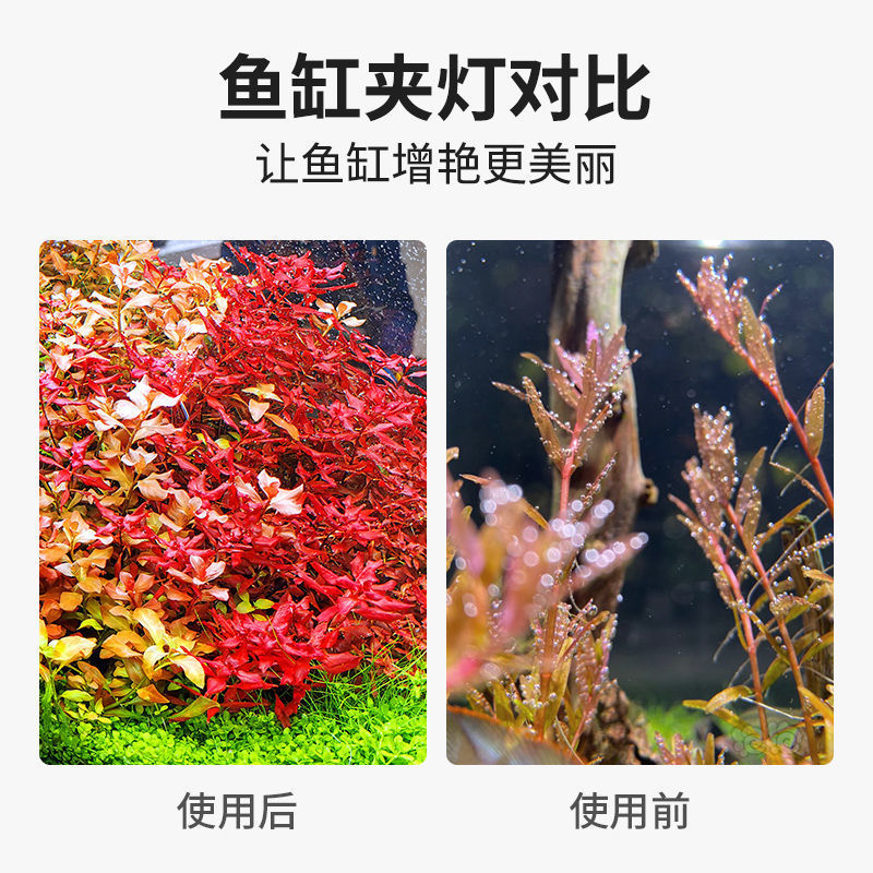 Aquarium, LED energy-saving night light, small lights, aquatic plants