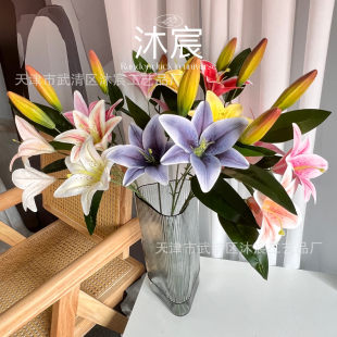 3d�ٺ� 2��1�����滨��ˮ�ٺϴ�ӡ�ٺϻ��ָ��bҾӵ��߻�c